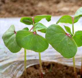 ����֮��hy590(�й�)���¹ٷ���վ