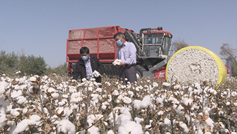 ����֮��hy590(�й�)���¹ٷ���վ