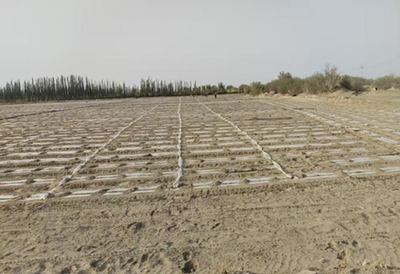 ����֮��hy590(�й�)���¹ٷ���վ