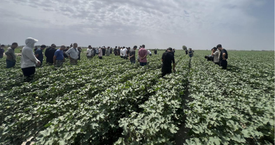 ����֮��hy590(�й�)���¹ٷ���վ