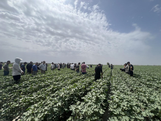 ����֮��hy590(�й�)���¹ٷ���վ