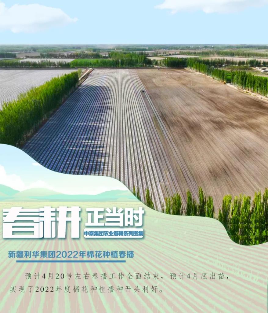 ��˾�޻���������̫����