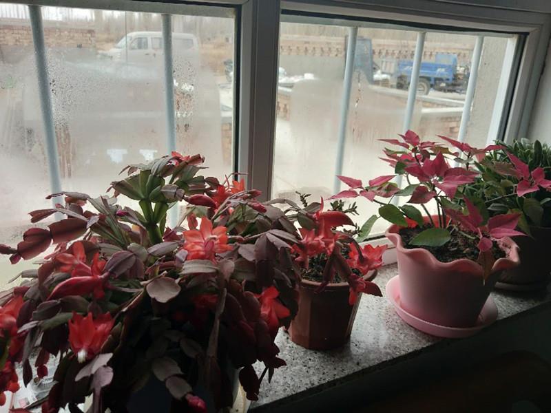 ��ҵ�и������ҡ�����