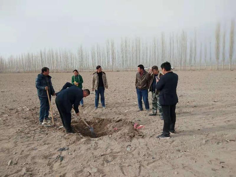 ��˶���紺 �ڴ�һ������